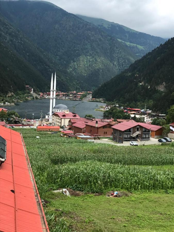 Karenes Kuzey Pansiyon Caykara Eksteriør billede
