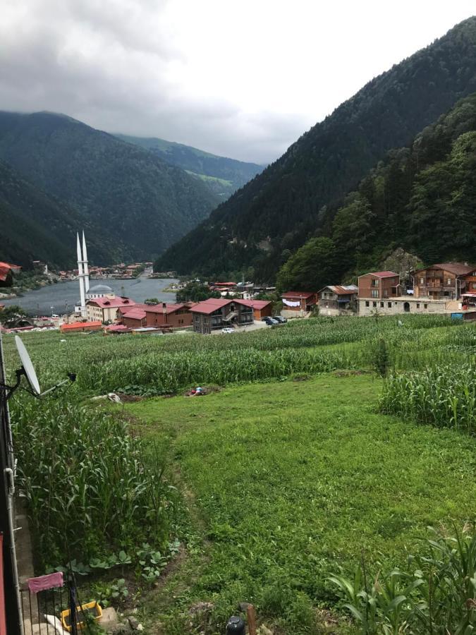 Karenes Kuzey Pansiyon Caykara Eksteriør billede